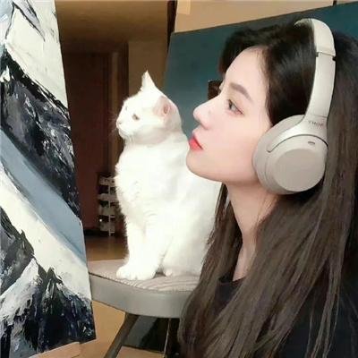 雾水总统