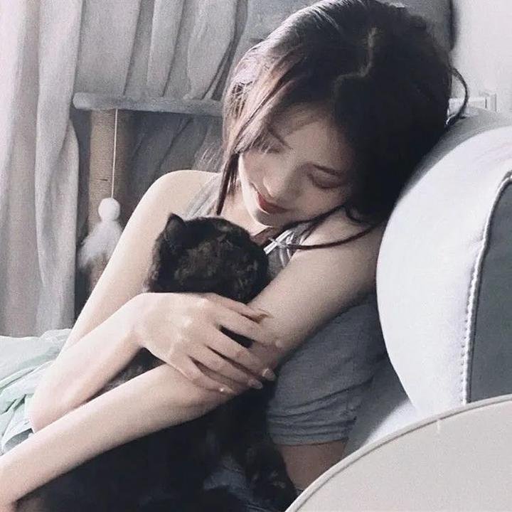 糖小姐探案集